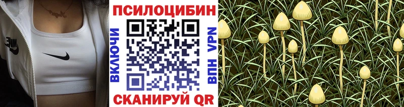 Псилоцибиновые грибы мицелий  дарнет шоп  Янаул 